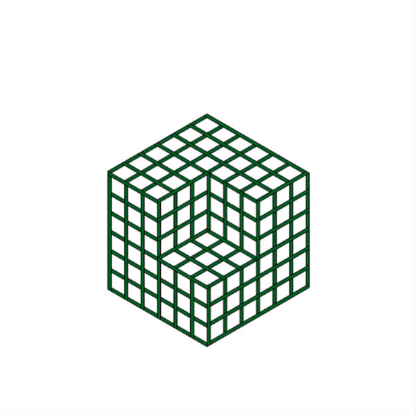 Cube illusion – T42