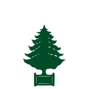 Sapin – F12